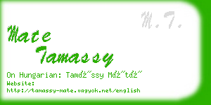 mate tamassy business card